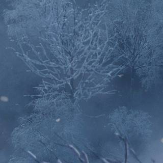 Winter Hogwarts Legacy PC wallpaper