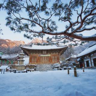 Korea winter desktop wallpaper