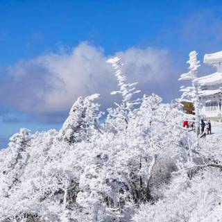 Korea winter desktop wallpaper