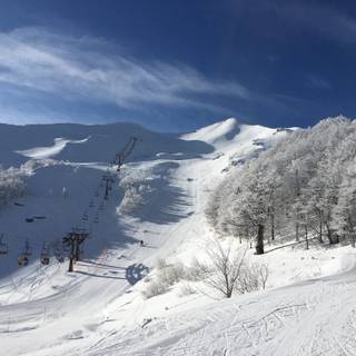 Florence winter wallpaper