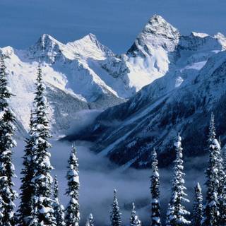 Windows XP winter wallpaper