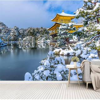Winter home arhitecture wallpaper