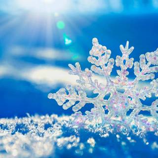 Windows XP winter wallpaper