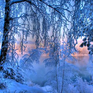 Windows XP winter wallpaper