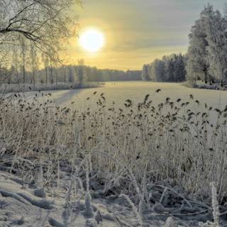 Windows XP winter wallpaper