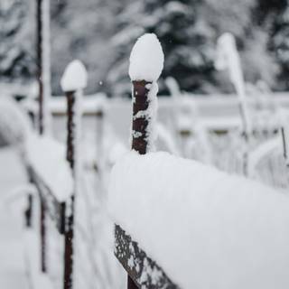 Black metal winter wallpaper