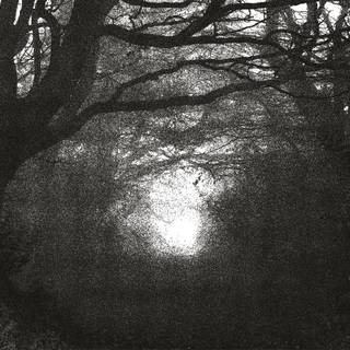 Black metal winter wallpaper