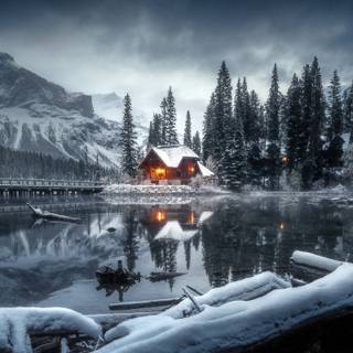 Cold winter 4k wallpaper