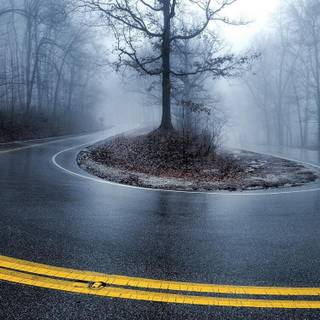 Winter wet road wallpaper