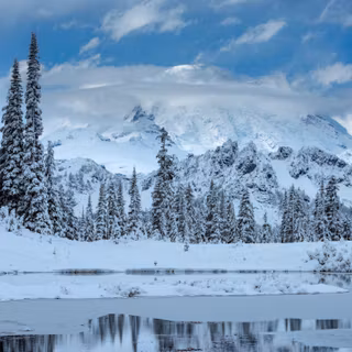 5k winter nature wallpaper