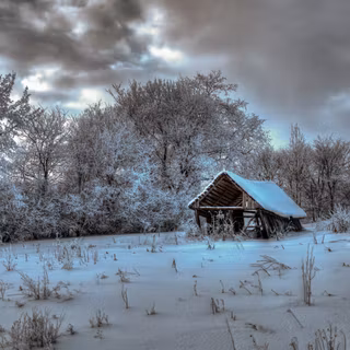 Cold winter 4k wallpaper