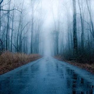 Winter wet road wallpaper