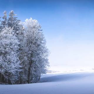 Cold winter 4k wallpaper