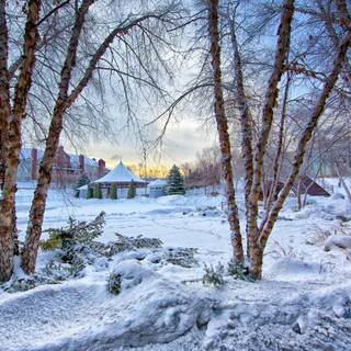 Pretty winter scenes wallpaper