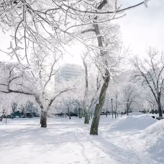 Pretty winter scenes wallpaper