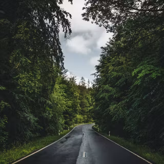 Winter wet road wallpaper