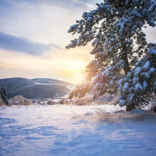 Pretty winter scenes wallpaper