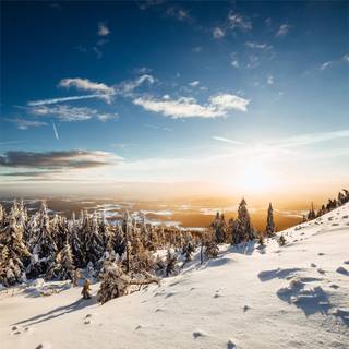 5k winter nature wallpaper