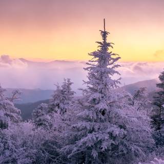 5k winter nature wallpaper
