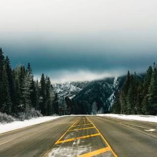 Winter wet road wallpaper