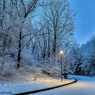 Winter wet road wallpaper