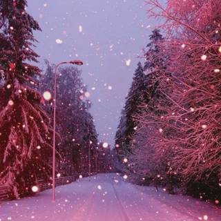 Winter pink snow wallpaper