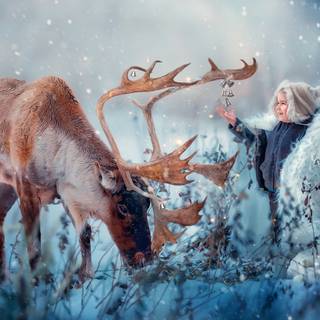 1920x1080 winter cute wallpaper