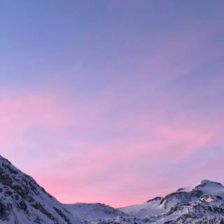 Winter pink snow wallpaper