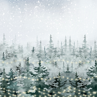 1920x1080 winter cute wallpaper