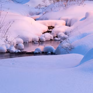 1920x1080 winter cute wallpaper