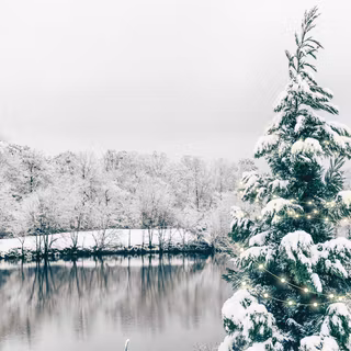 Winter girly computer wallpaper