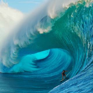 Virtual Google wallpaper