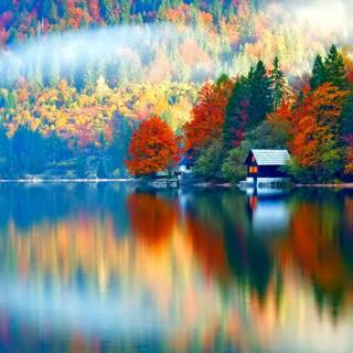 Virtual Google wallpaper