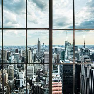 Virtual Google wallpaper