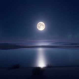 Virtual Google wallpaper