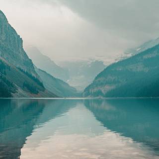 Virtual Google wallpaper