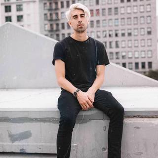 Dutch Melrose wallpaper