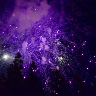 New Year purple wallpaper