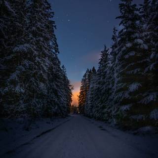 Night winter road wallpaper