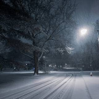 Night winter road wallpaper
