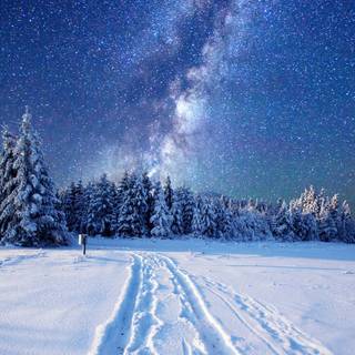 Night winter road wallpaper