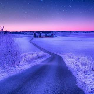 Night winter road wallpaper
