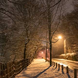 Night winter road wallpaper