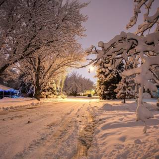 Night winter road wallpaper