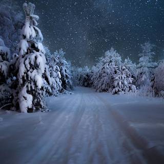 Night winter road wallpaper