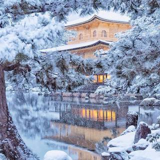 Japan winter temple wallpaper