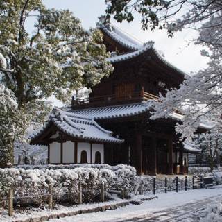 Japan winter temple wallpaper