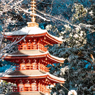 Japan winter temple wallpaper