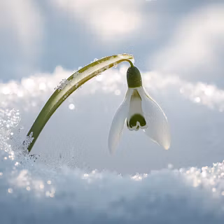 Winter season cozy desktop wallpaper