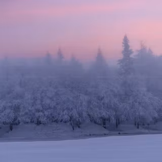 Winter desktop simple wallpaper